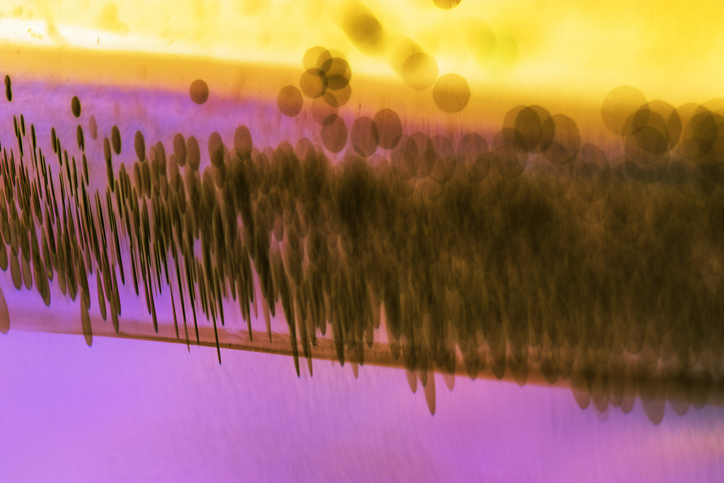 Estudio de Mineralograma de Cabello